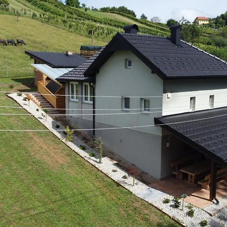Vila Tamaskut Lendava Exterior photo